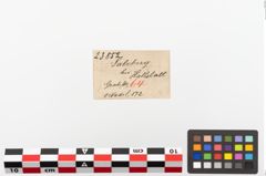 Etiketten zu Bronzemehrkopfnadel (NHMW-PRAE-023852)